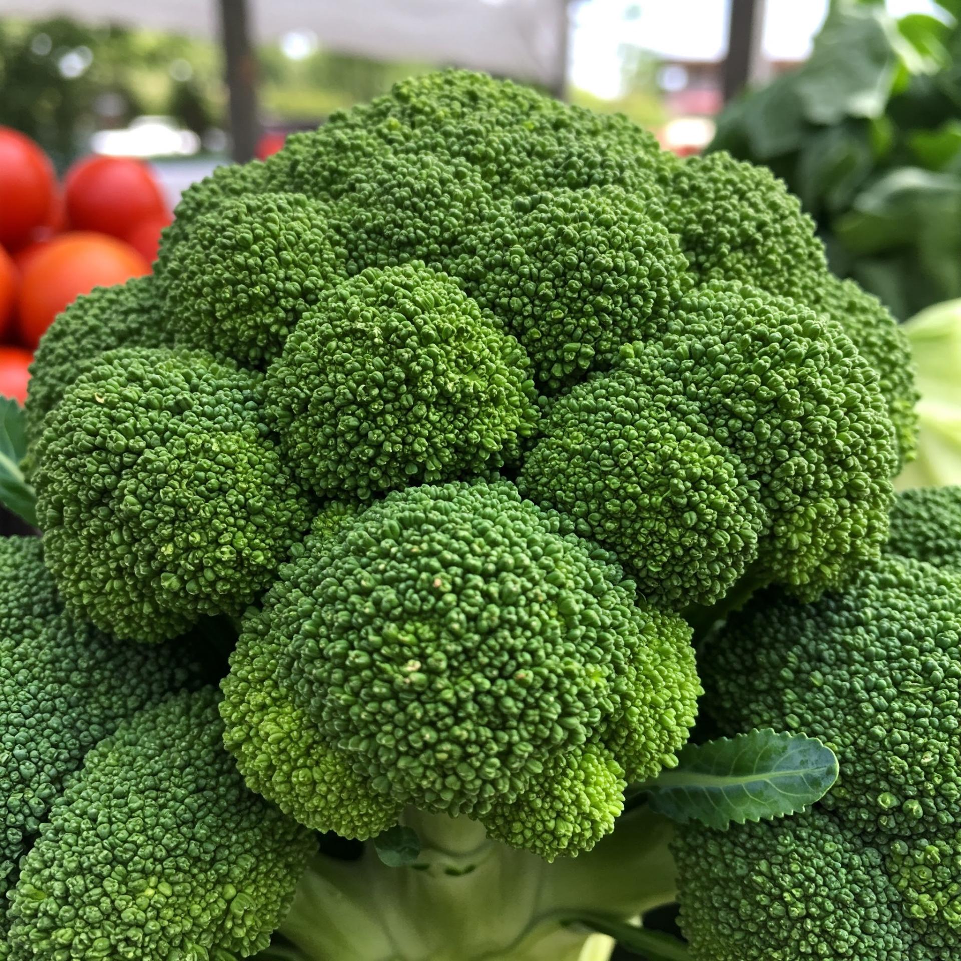 Brocoli