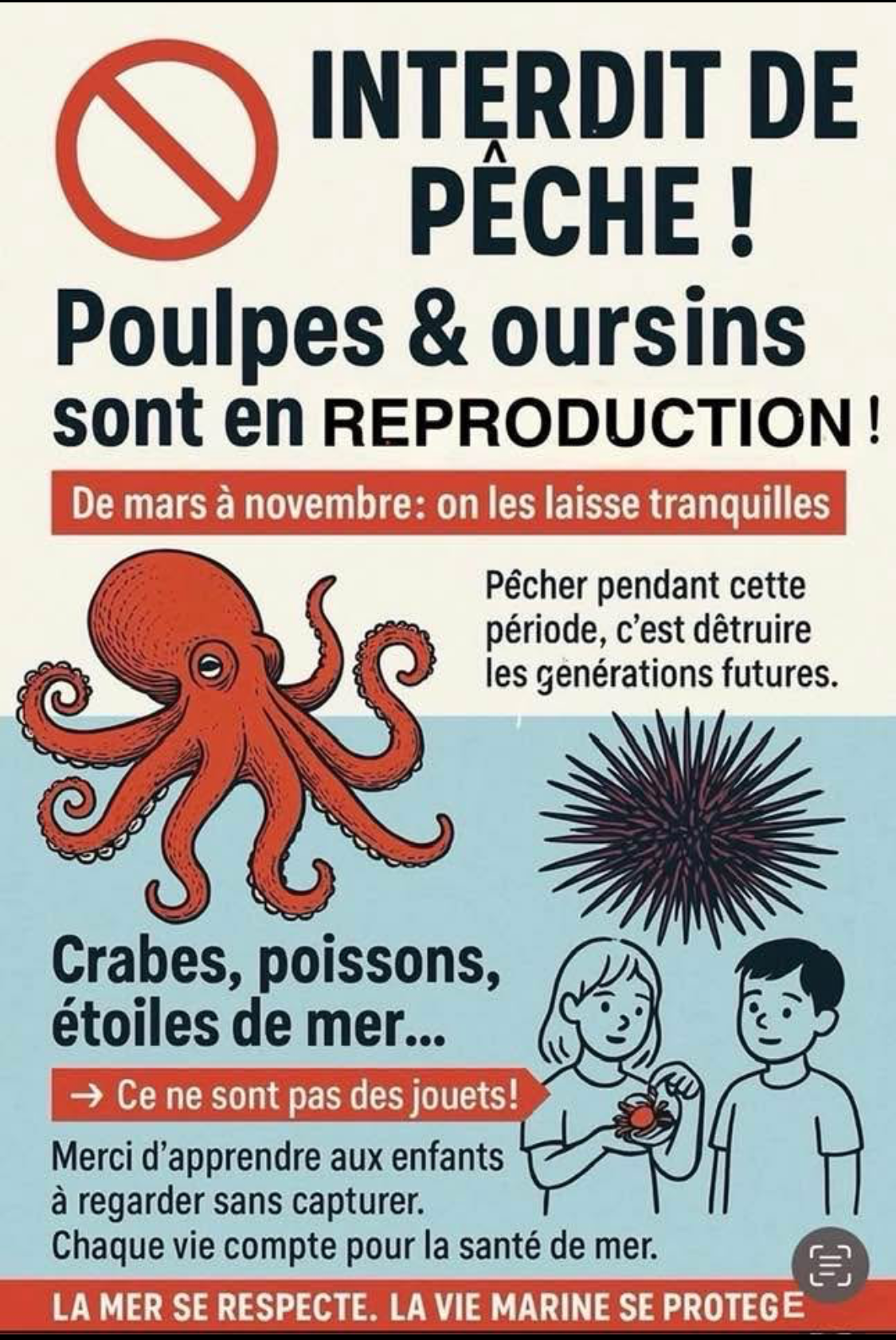 Poulpe gendarmerie